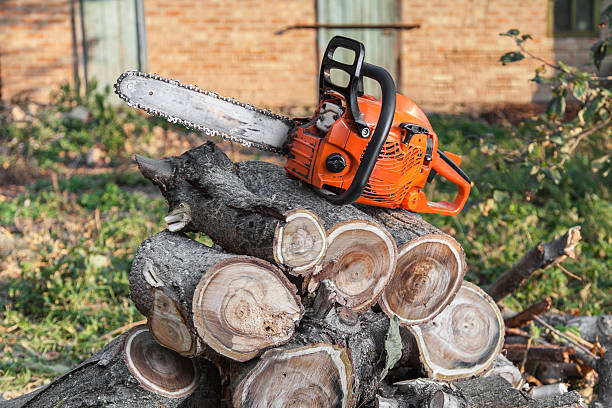 Best Commercial Tree Services  in USA